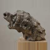 Chimera - Reference 9190 Width 1' 1'' ⅜ Height 11'' Chimera - Reference 9190 Width 1' 1'' ⅜ Height 11''