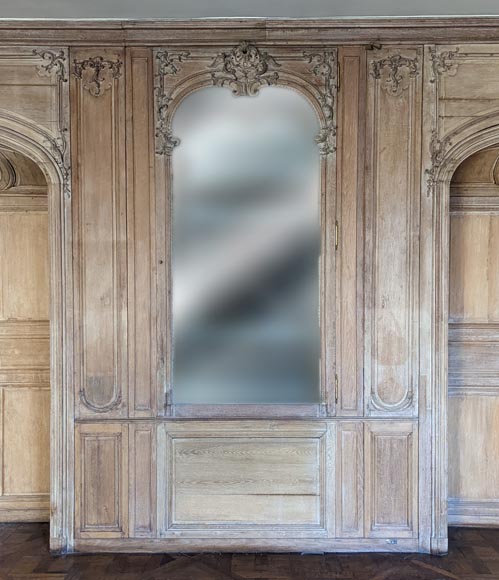 Important Louis XV-period Carved Oak Paneling-19