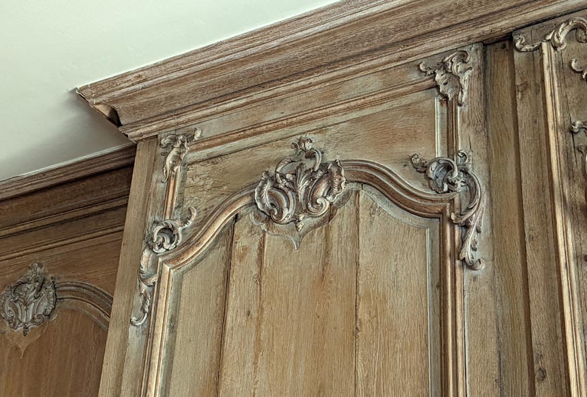 Important Louis XV-period Carved Oak Paneling-23