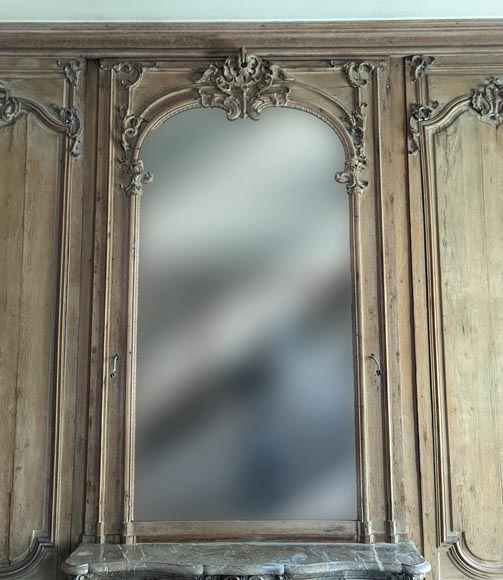 Important Louis XV-period Carved Oak Paneling-24