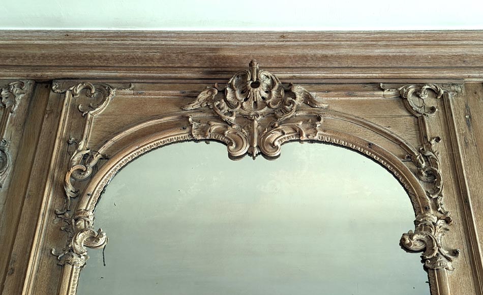 Important Louis XV-period Carved Oak Paneling-25