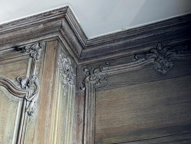 Important Louis XV-period Carved Oak Paneling-27