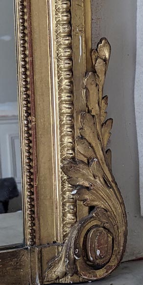 Napoleon III style gilded trumeau with medallion and leafy branches-6