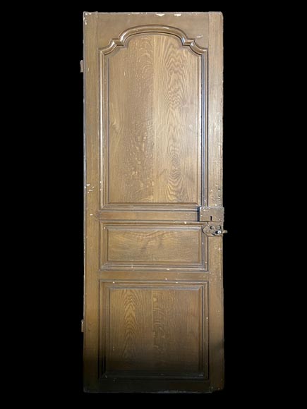 Molded door in resinous wood, painted in oak imitation-1