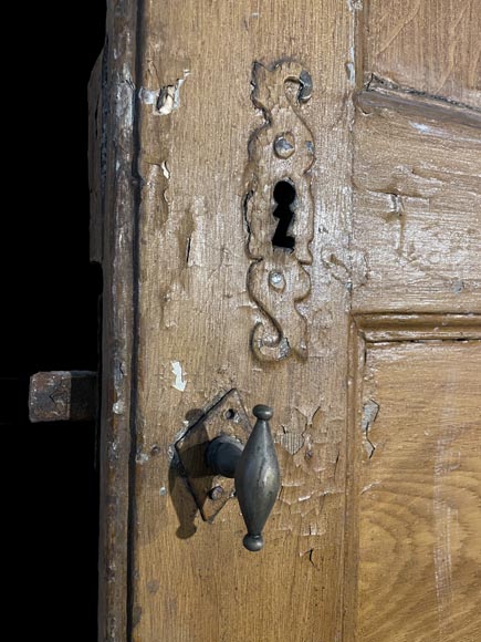 Molded door in resinous wood, painted in oak imitation-4