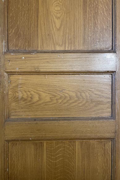 Molded door in resinous wood, painted in oak imitation-5