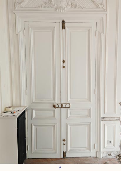 Pair of molded double doors-1