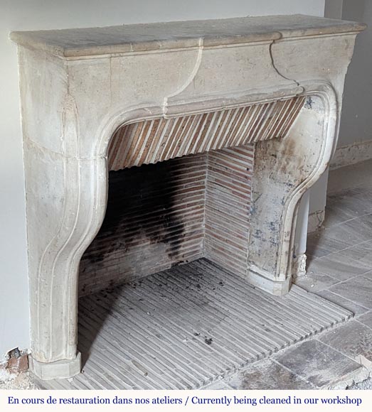 Small Burgundian-style fireplace carved in stone-2