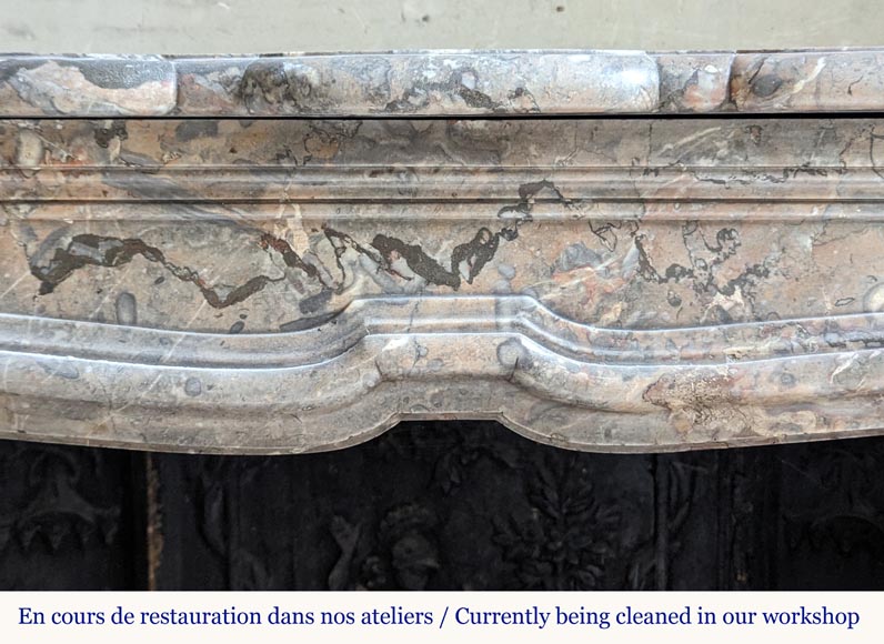 Small Regence period mantel in Sarrancolin Ilhet marble-1