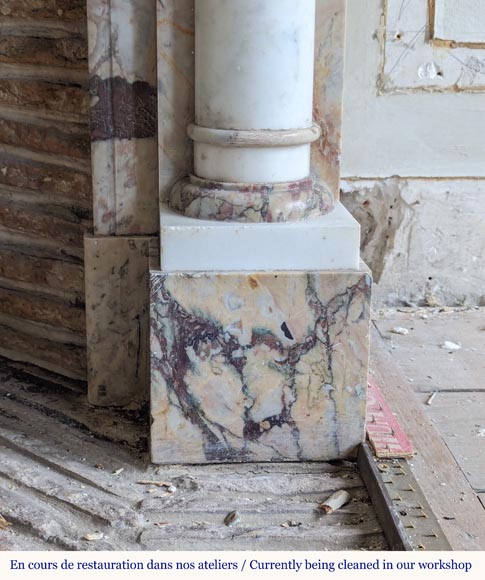 Two-tone Directoire style marble mantel decorated with butterflies-8